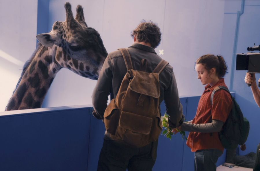 Aktorzy wchodzili w interakcję z prawdziwą żyrafą