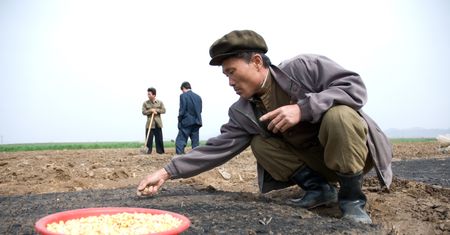 Koreańczycy są wściekli. Drastyczne różnice cen