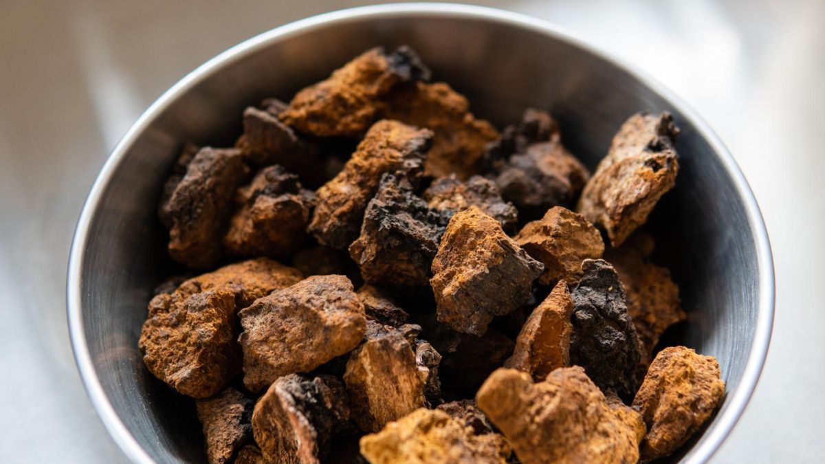 Jeden z najzdrowszych grzybów. Obniża cukier i zbija cholesterol