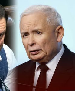 WP: Komisja etyki PiS zajmie się Mejzą. Poseł został zatrzymany przez policję