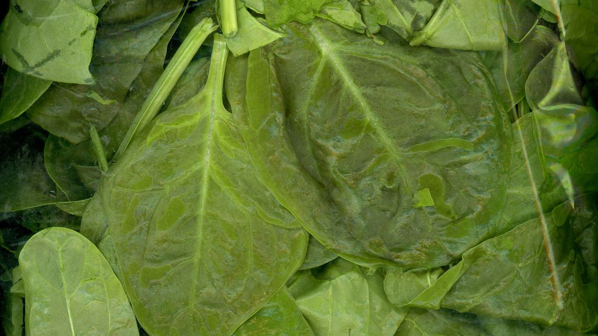 Szpinak spowalnia starzenie i nie tuczy