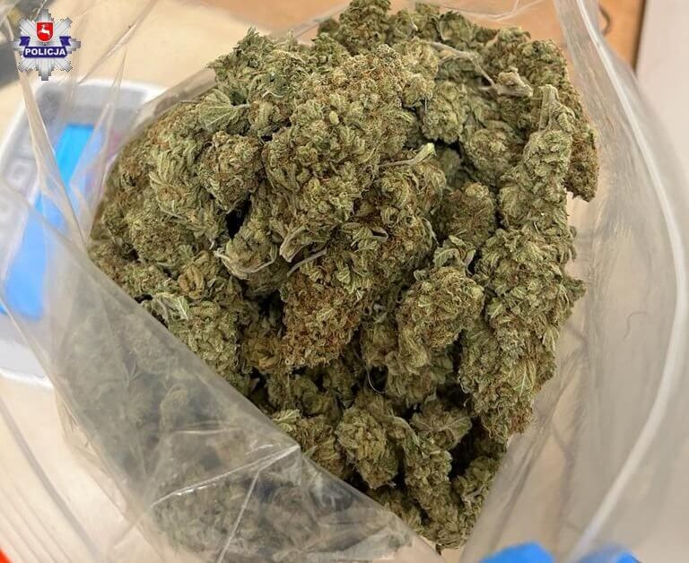marihuana