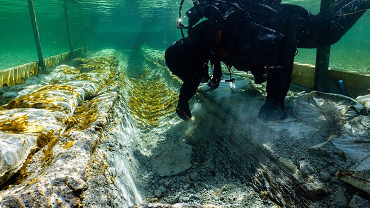Na dnie Jeziora Bodeńskiego znaleziono łódź sprzed 4 tys. lat