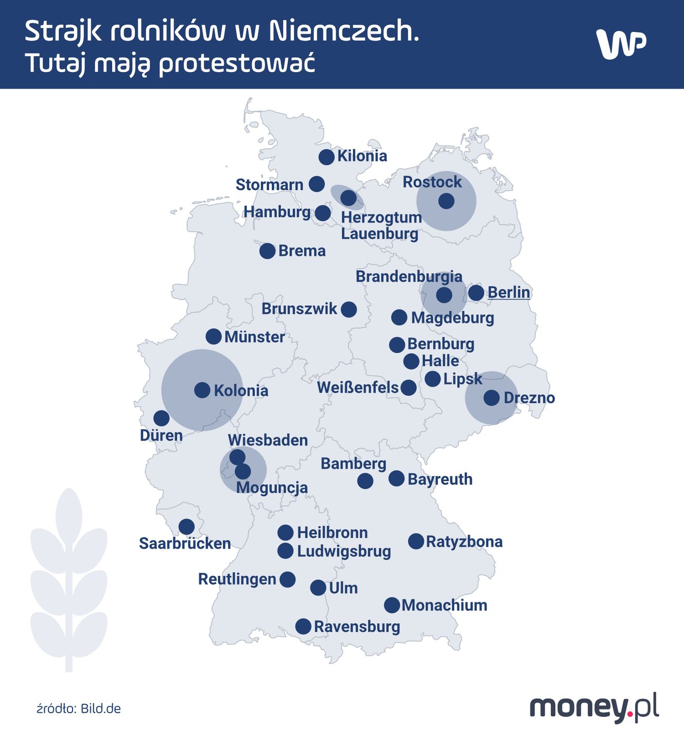 Strajk rolników w Niemczech