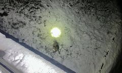 Siedlęcin. Ktoś zrzucił psa z wiaduktu. Nagroda za wskazanie sprawców bestialskiego czynu