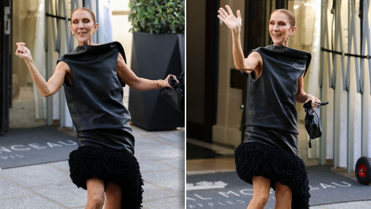 Celine Dion zaskoczyła fanów. Zrobiła to z nimi przed hotelem