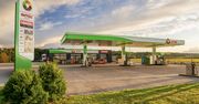 Kierowcy liczą oszczędności. Na stacjach AMIC Energy zatankują z rabatem nawet do -50 gr/l!