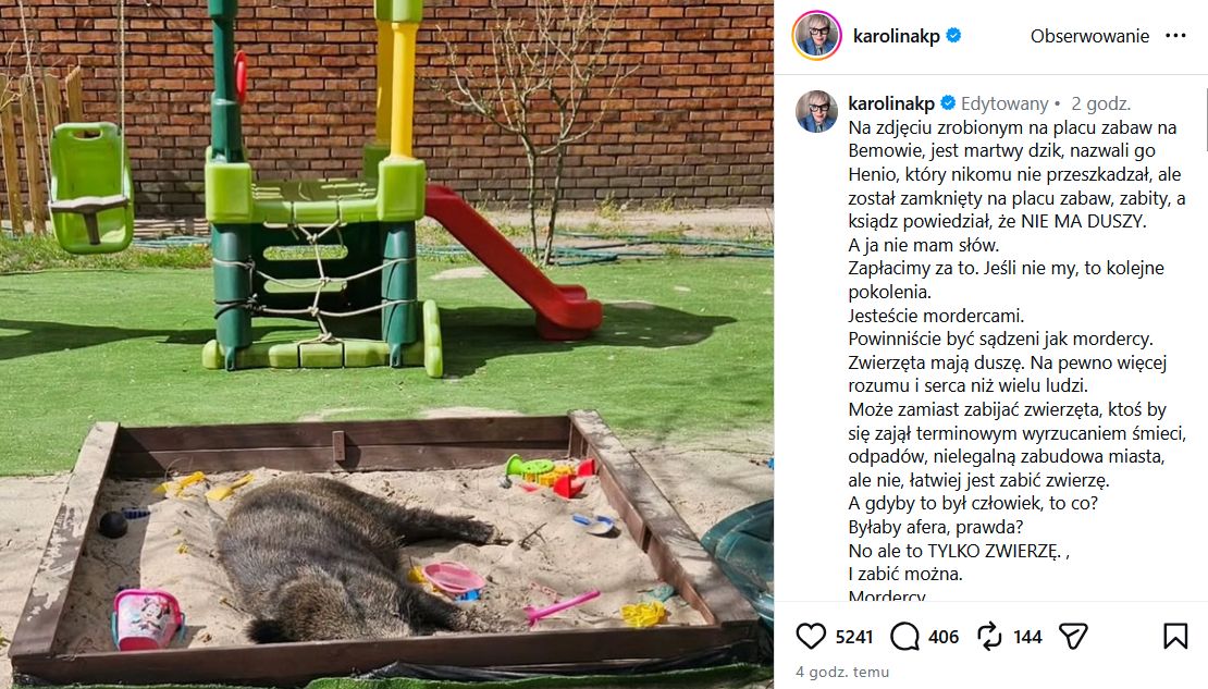 Wpis Karoliny Korwin-Piotrowskiej po uśpieniu dzika