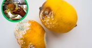 Cytryny często pleśnieją. Tak pozbędziesz się uciążliwego problemu