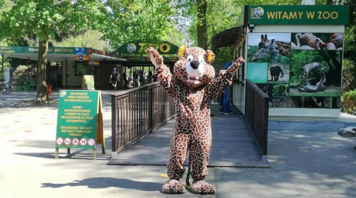 Zmiany w organizacji ruchu w rejonie zoo