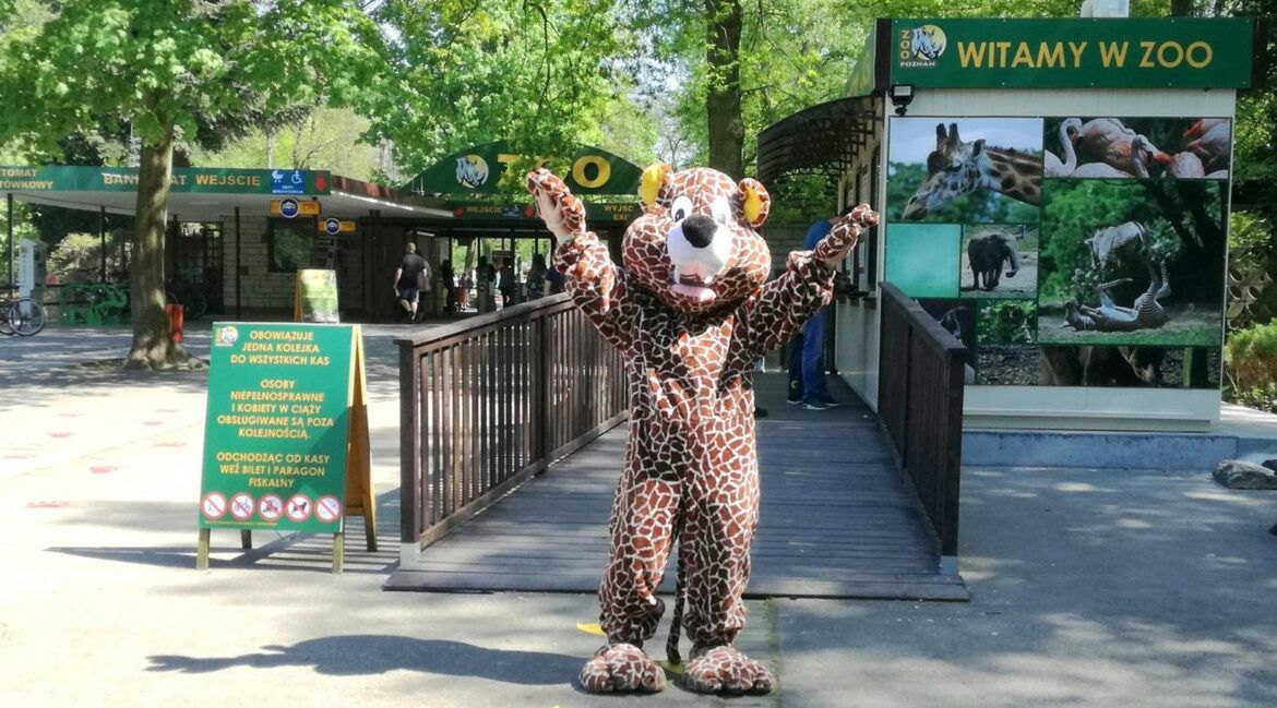 Poznań: ZDM zapowiada możliwe zmiany w organizacji ruchu w rejonie zoo. W jakiej sytuacji i na czym będą polegać?