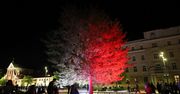 Lublin biało-czerwony. Miejskie iluminacje w barwach narodowych