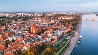 Toruń: Przy placu Rapackiego drzewa umierają stojąc