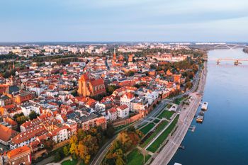 Toruń: Przy placu Rapackiego drzewa umierają stojąc