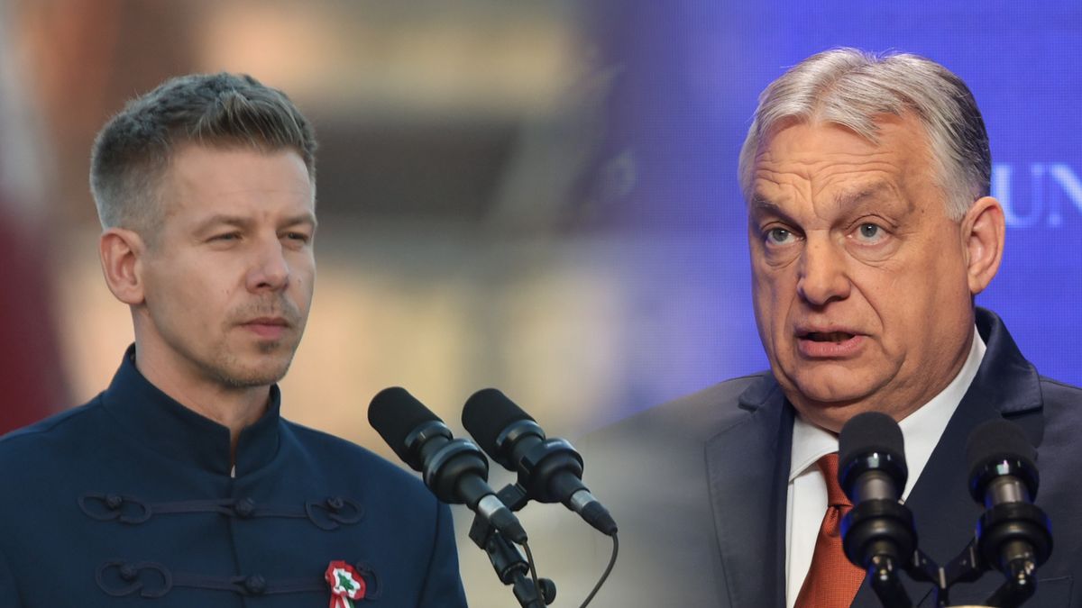 Peter Magyar, Viktor Orban