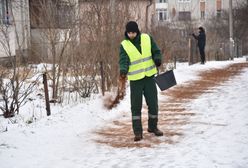 Nieodśnieżone chodniki w miastach i wysokie mandaty?