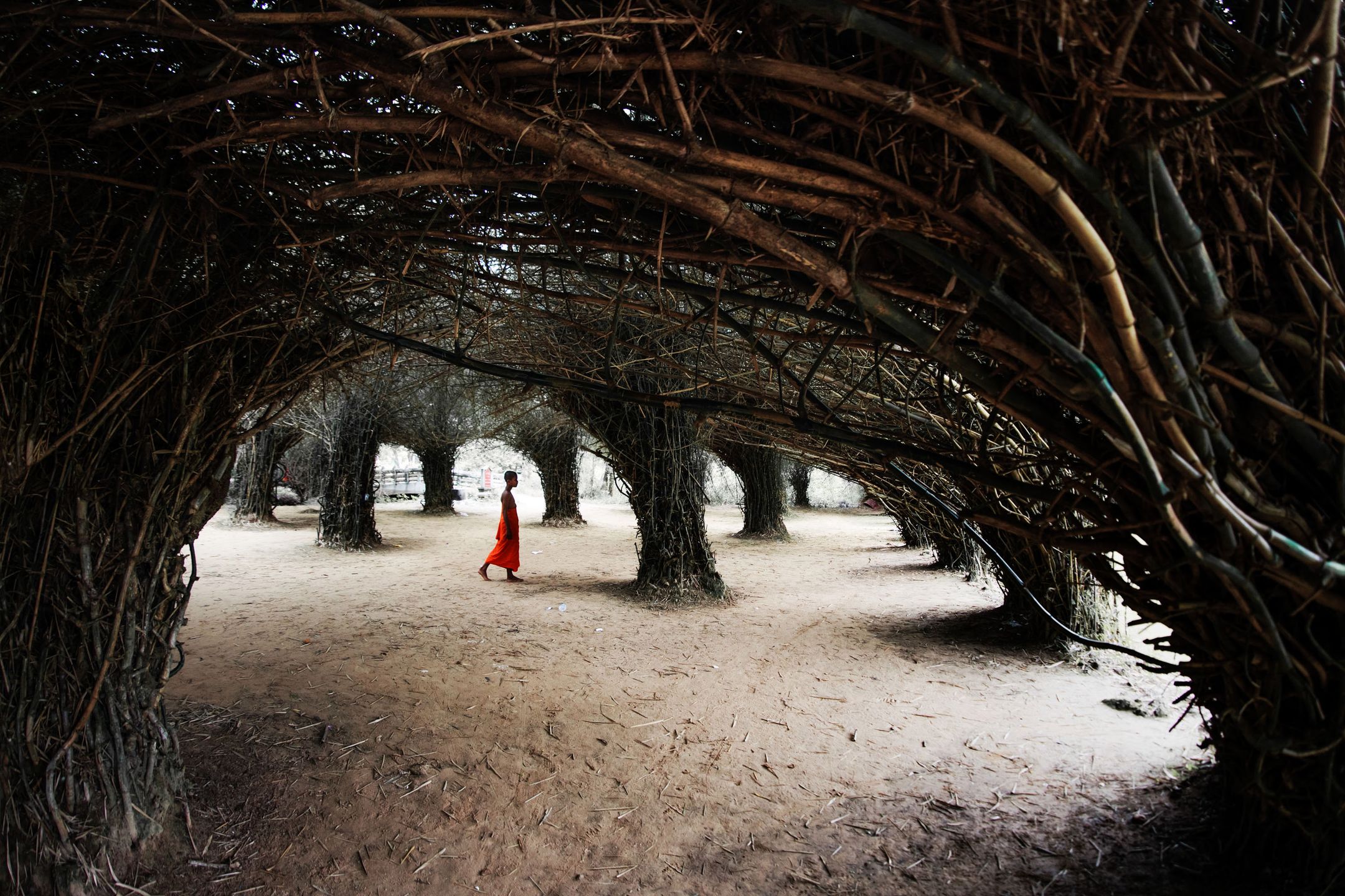 Piotr Leczkowski zwycięzcą polskiej edycji National Awards w Sony World Photography Awards 2019 93