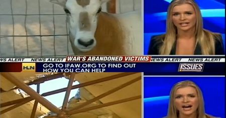 KRUPA W CNN: "Zwierzęta są stworzone przez Boga! CIERPIĄ!"