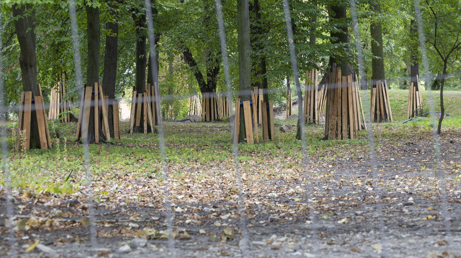 Remont Parku Bronowice