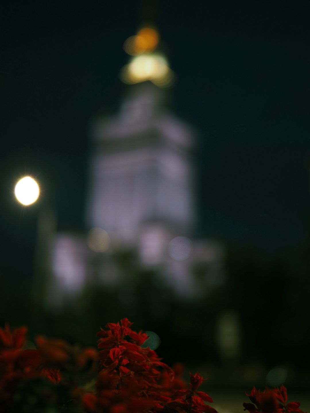 TEST: Kolejna jasność u Olympusa, czyli M.Zuiko 25 mm f/1.2 Pro 39