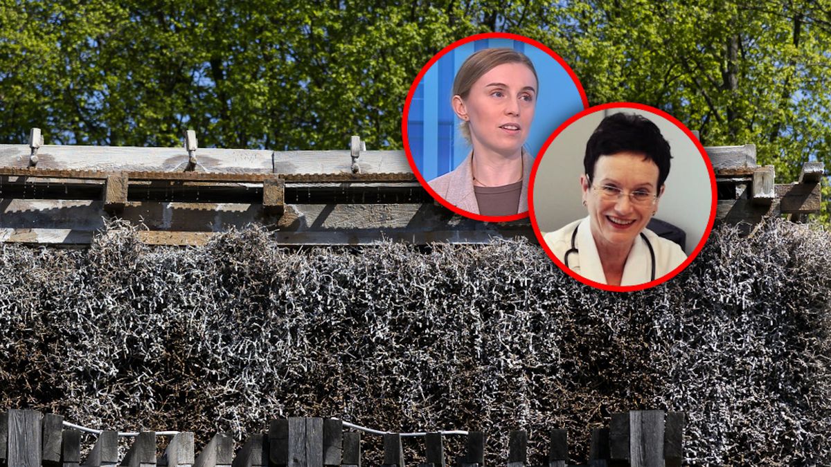Tężnie solankowe w miastach 