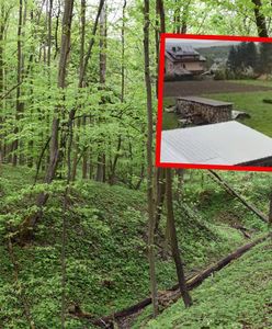 Niedźwiedzie wtargnęły na teren przedszkola. Strach w Bieszczadach