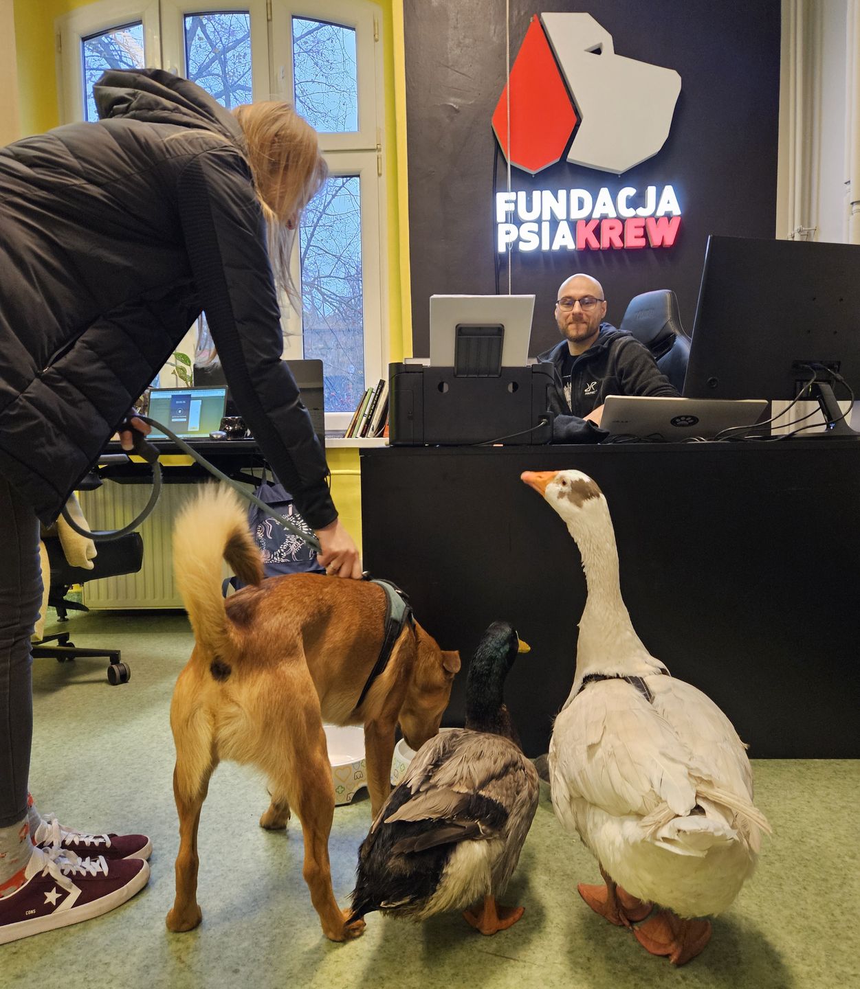 Sunny, Wirek i Kundelino to prawdziwi rzecznicy praw zwierząt