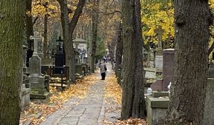 Stołeczne cmentarze. Warszawiacy odwiedzali groby bliskich i zasłużonych