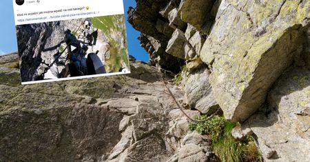 Tatry. Zabrał psa na Orlą Perć. "Jak można być takim człowiekiem?"