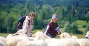 Smakowa debata rozgrzała Polskę. Czy region, w którym żyjemy, decyduje o tym, co najchętniej chrupiemy?