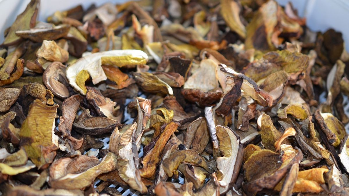 Polacy kupują i jedzą grzyby na potęgę. Nie są świadomi, co się w nich znajduje