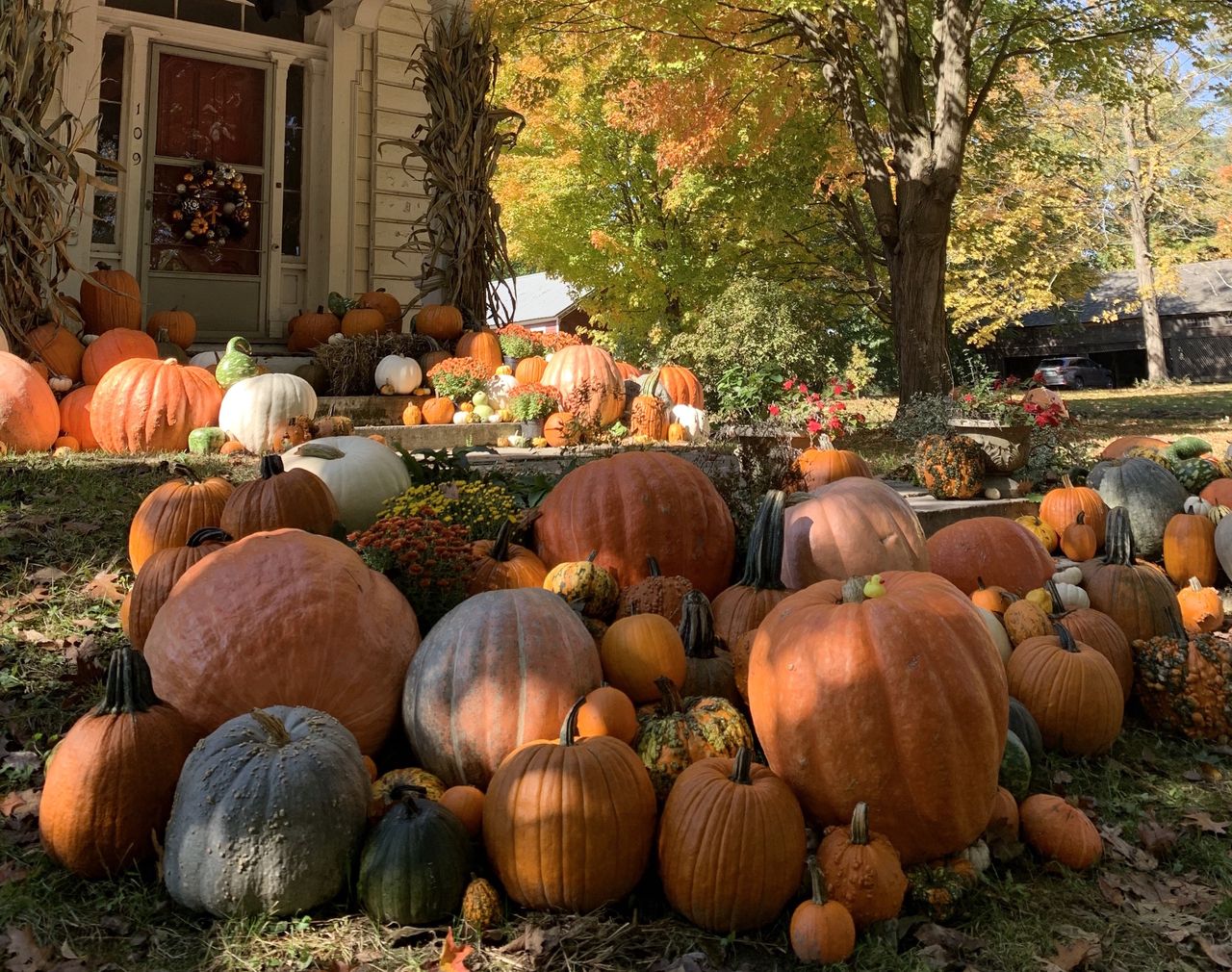 Amerykańskie domy już od września ozdobione są w klimacie Halloween