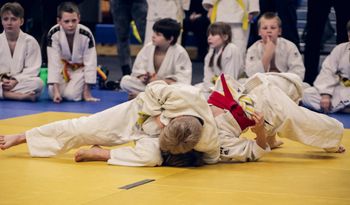 Międzynarodowy Festiwal Sportu w Jaśle. Siatkarki i judocy z 11 państw rozpoczynają dzisiaj rywalizację