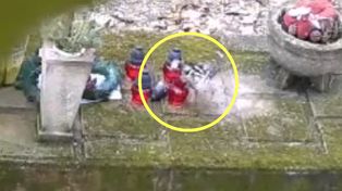 Znikały z grobu. Ustawił kamerę. Ludzie pękają ze śmiechu