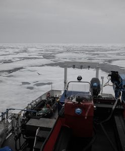 Arktyka może stać się "wolna od lodu". Upały będą nękać Ziemię