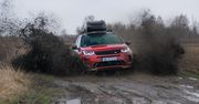 Jaguar Land Rover spowalnia rozwój elektryków. Zaskoczył ich popyt na inne jednostki