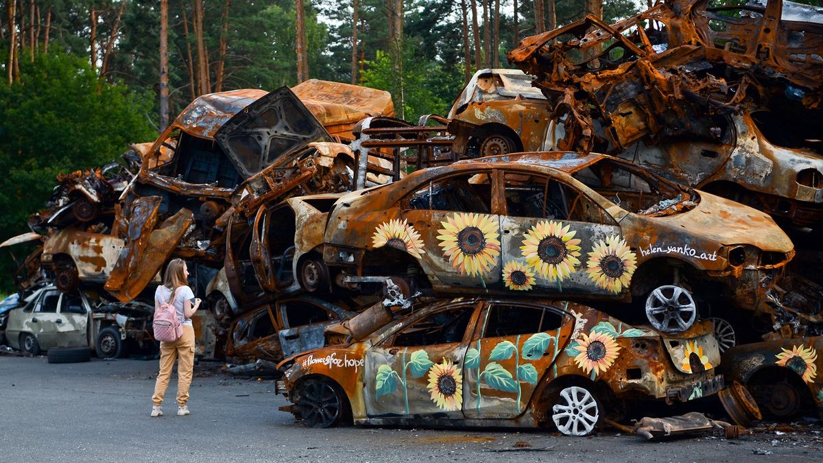 Słoneczniki na zniszczonych przez Rosjan cywilnych samochodach.