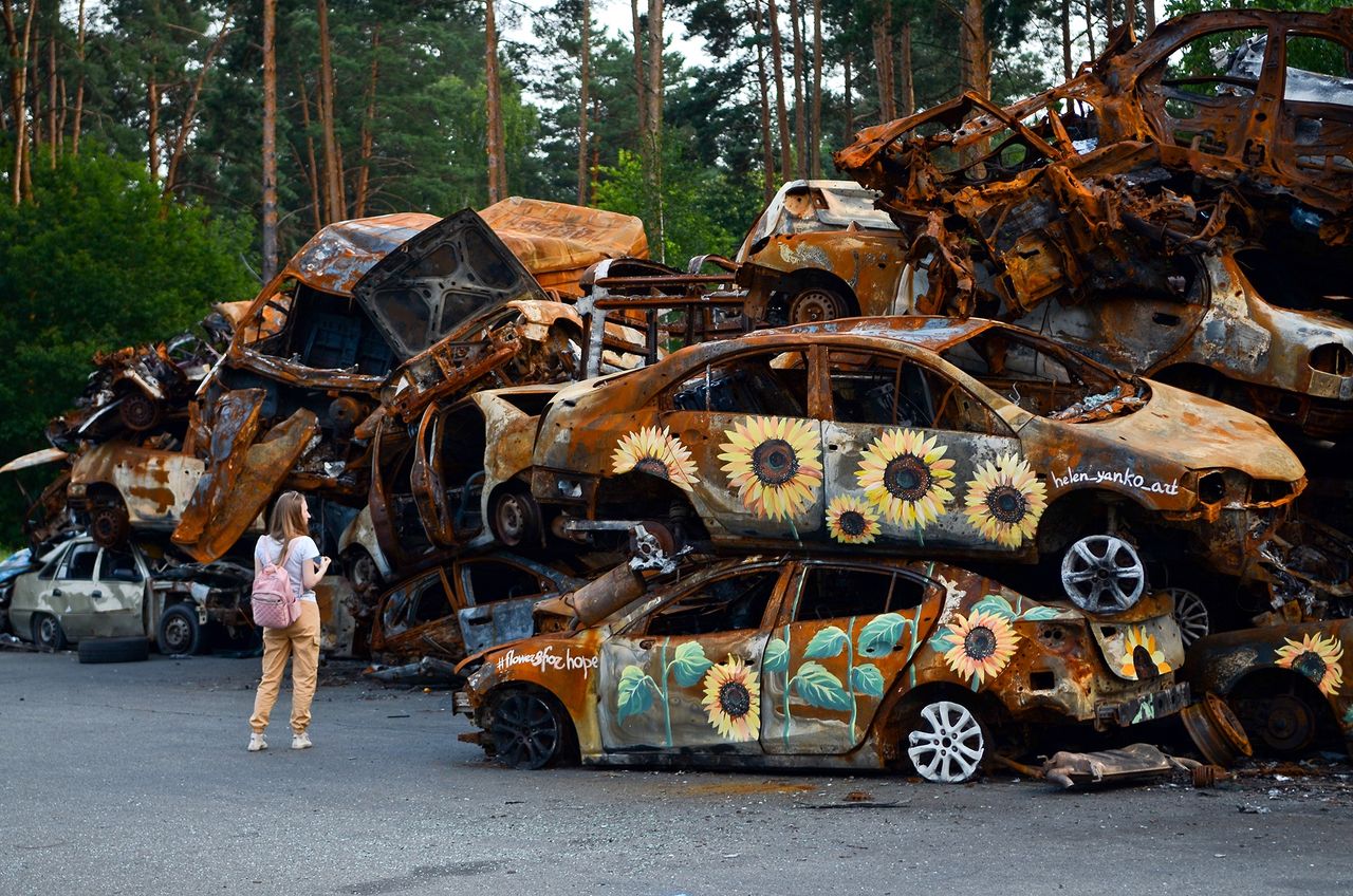 Słoneczniki na zniszczonych przez Rosjan cywilnych samochodach.