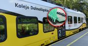 Dolny Śląsk: Pociągi bez ograniczeń. Majówka z Biletem Weekendowym