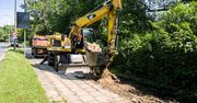 Poznań: Ruszyły prace na Dolnej Wildzie. Projekt "Rowerem na Wartostradę"