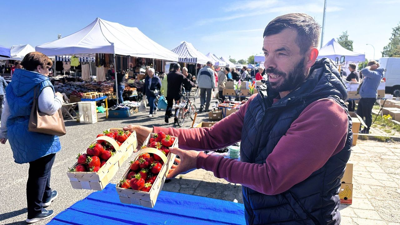 Majowy targ w Tarnobrzegu. Dużo warzyw, zieleni i polskie truskawki! Zobacz ofertę i ceny