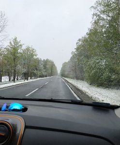 Wrocław. Śnieg na ulicach. Uwaga na drogach
