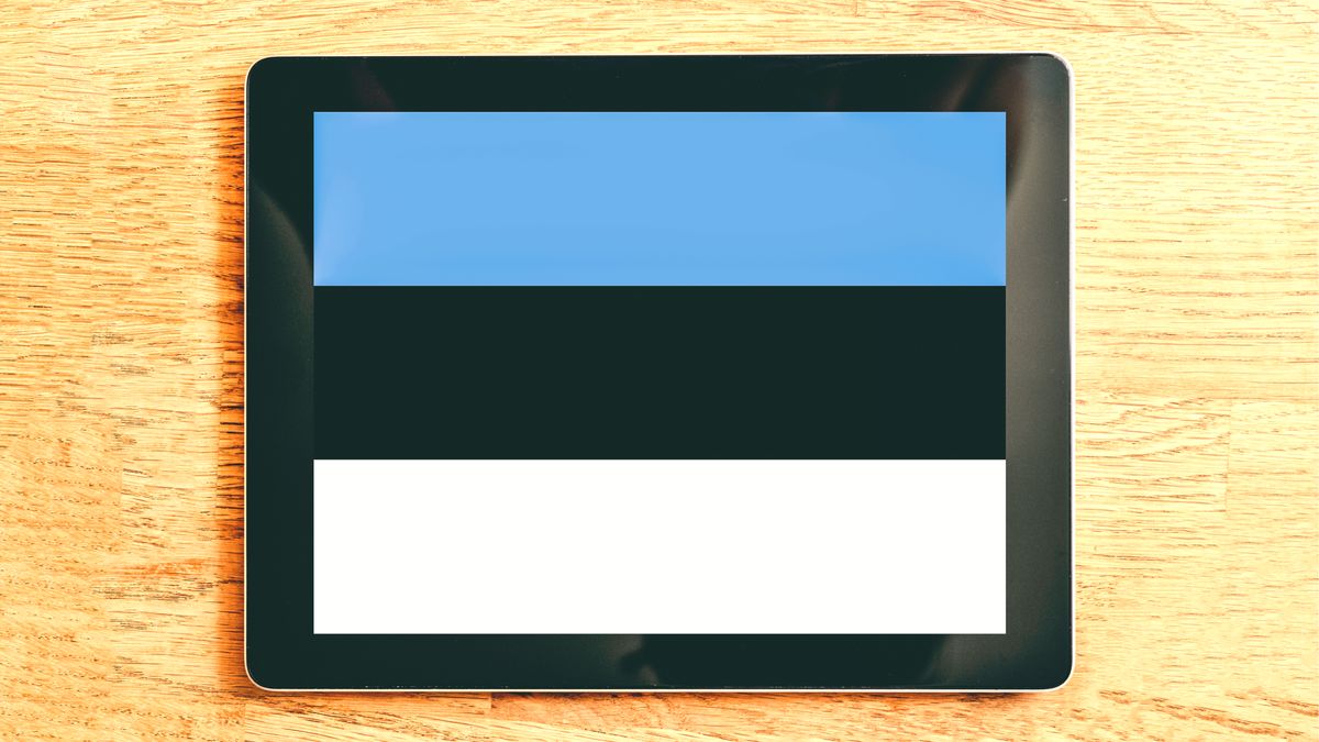 Zamiast ulegać panice, Estonia stawia na innowacyjne rozwiązania, fot. hyotographics/Shutterstock