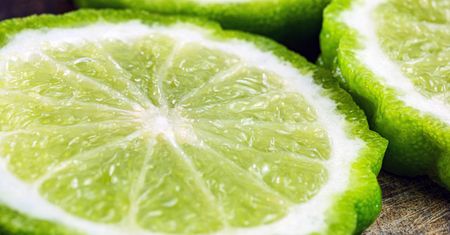 Wygląda jak limonka, a kryje sekret kultowej herbaty. Włosi mówią na nią "zielone złoto"