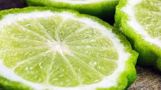 Wygląda jak limonka, a kryje sekret kultowej herbaty. Włosi mówią na nią "zielone złoto"