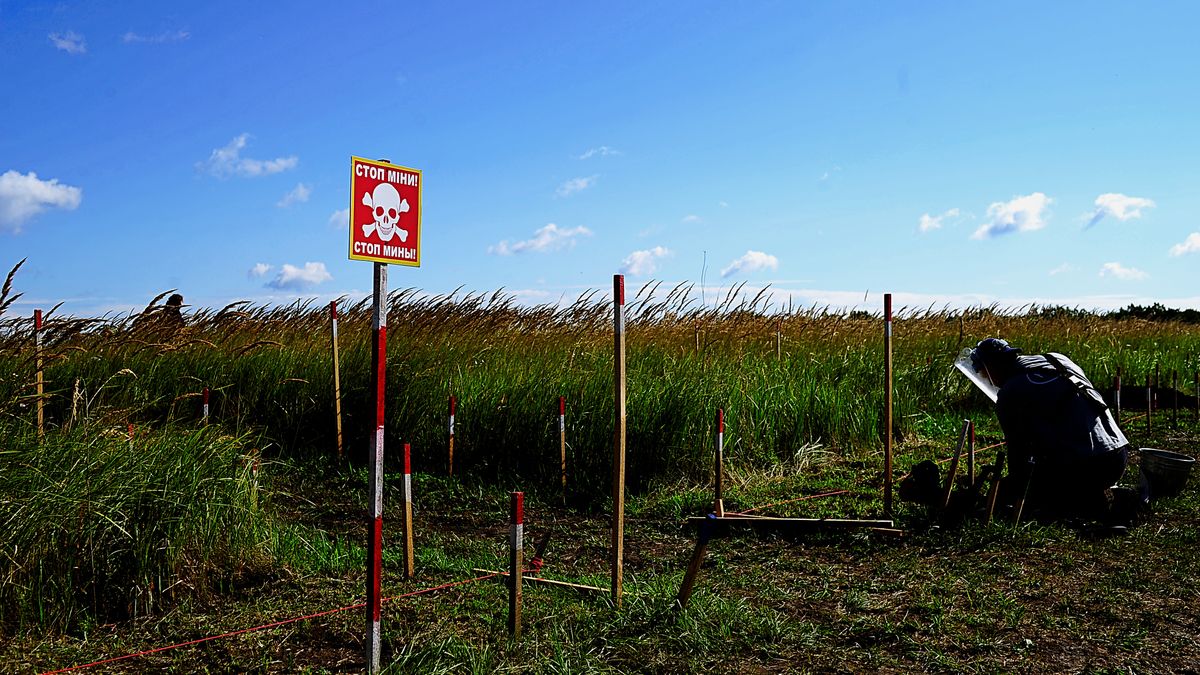 KHARKIV OBLAST, UKRAINE - JULY 29: A sapper (combat engineer) at the site practices digging into the ground to search for mines on July 29, 2023 in Kharkiv Oblast, Ukraine. Large training camp for sappers from Ukraine from different regions. There are people here from Donetsk, Kharkiv and Luhansk Oblasts. Here they learn and practice searching and detecting mines and explosive objects. (Photo by Eugene Hertnier/Global Images Ukraine via Getty Images)