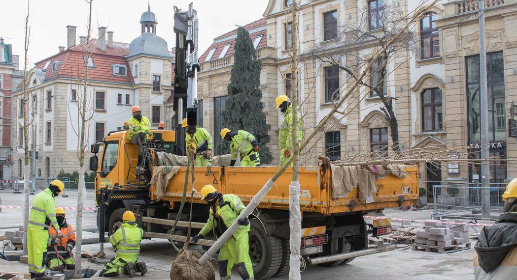 Na ul. Dworcowej w Katowicach drzewa zastąpią samochody.