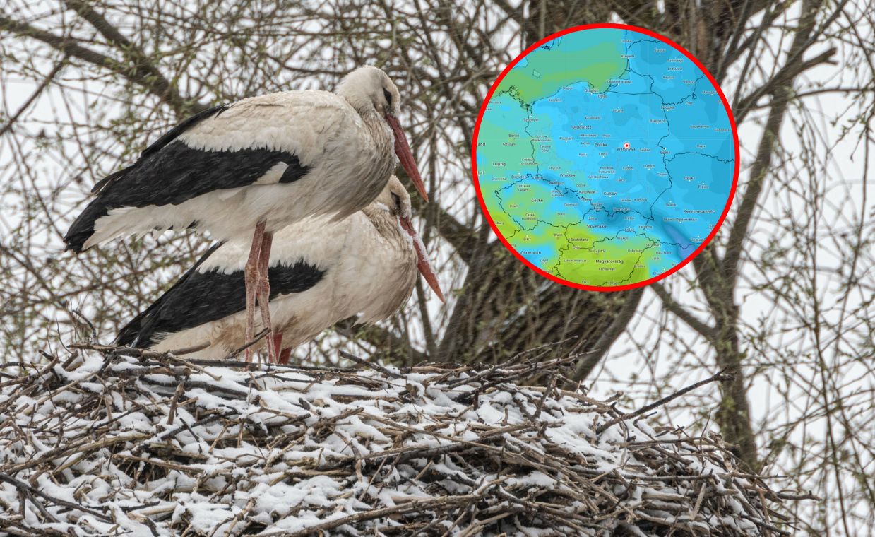 Wraca zimno. Piękny weekend i koniec. Śnieg w prognozie