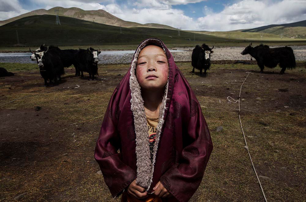 Oto zwycięzcy konkursu Sony World Photography Awards 2016 38