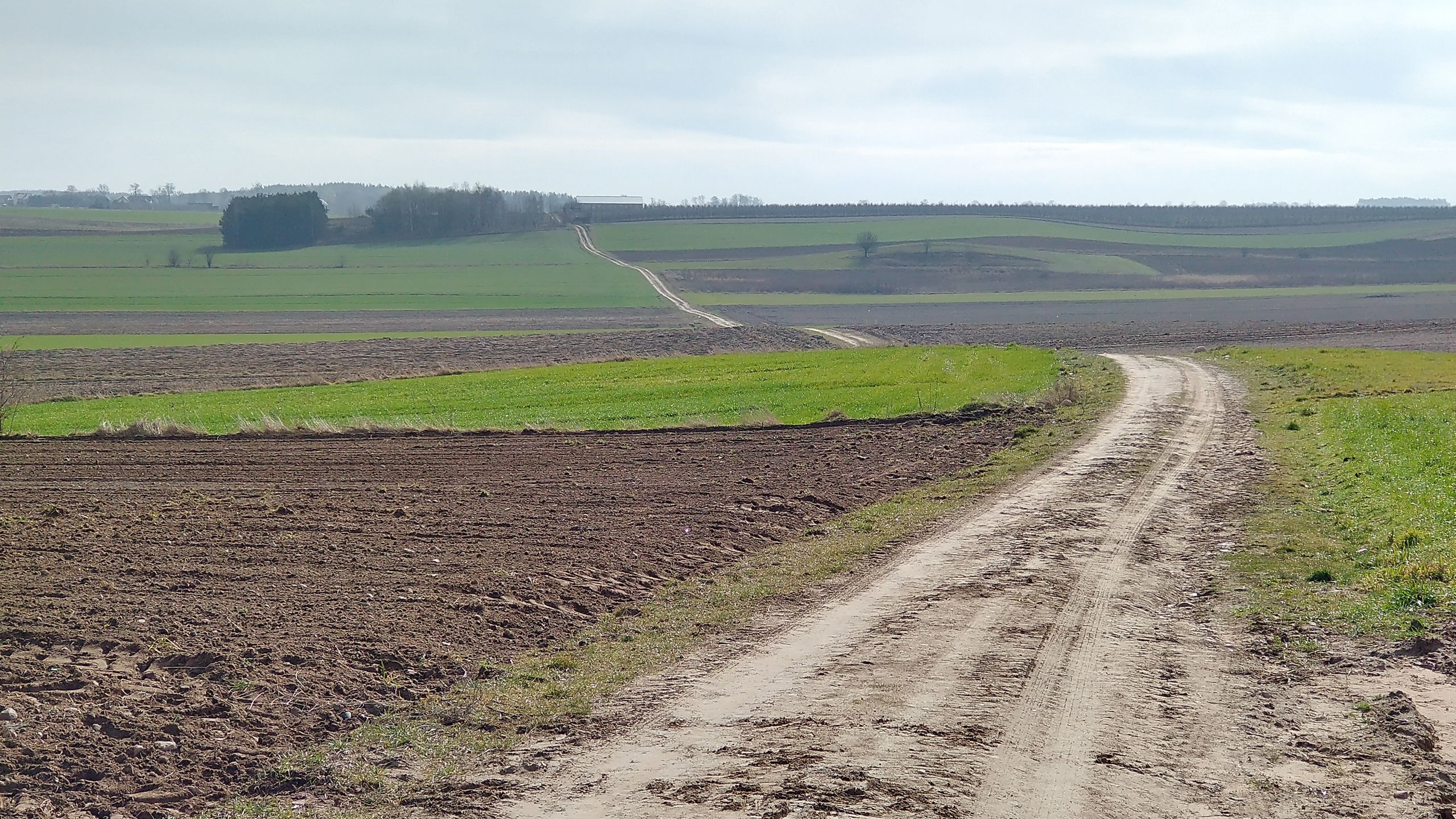 Motorola Moto G8 Power po dwóch dniach testów. Jest solidnie 19